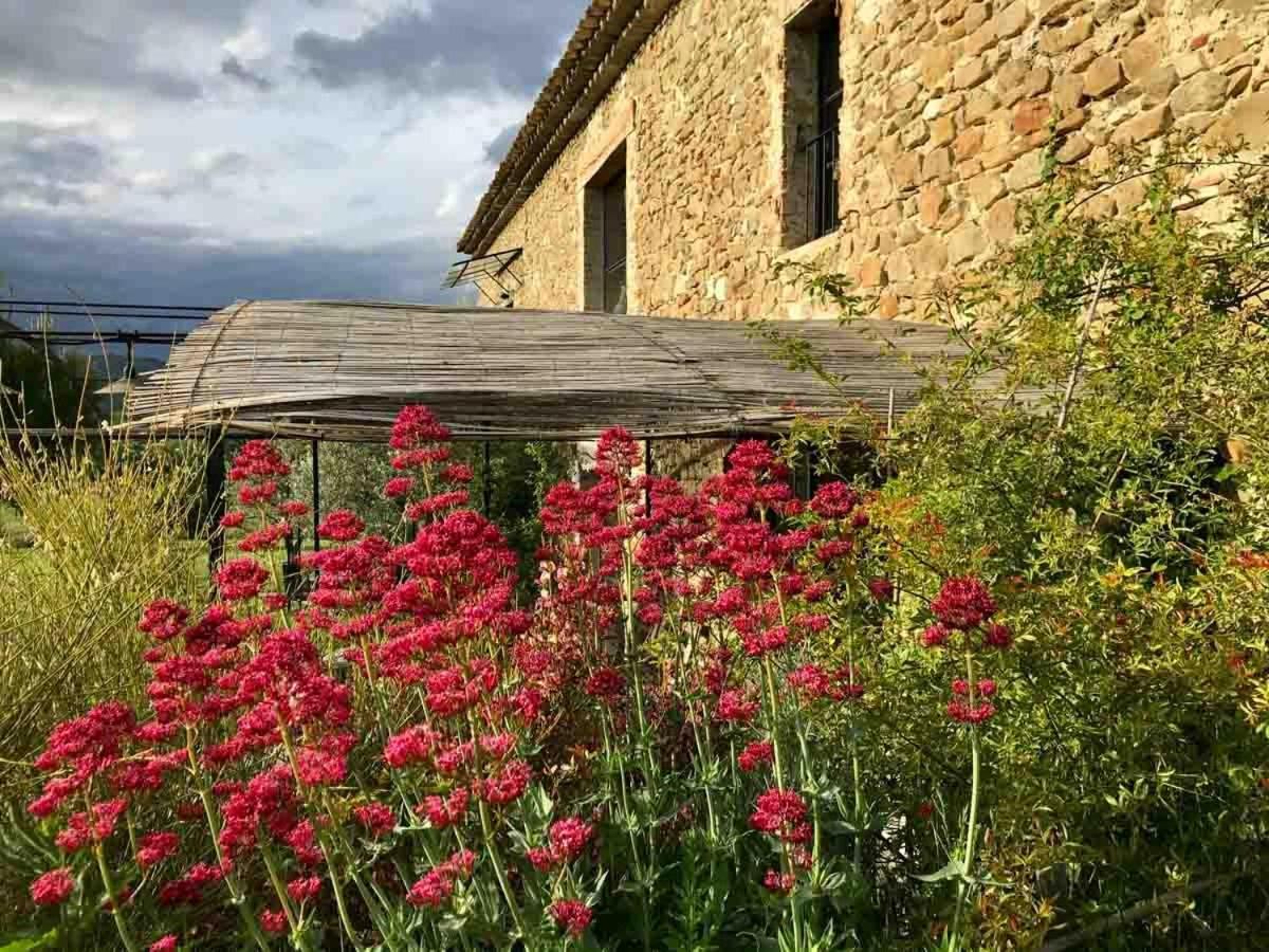 Vila La Demoiselle Puy-Saint-Martin Exteriér fotografie